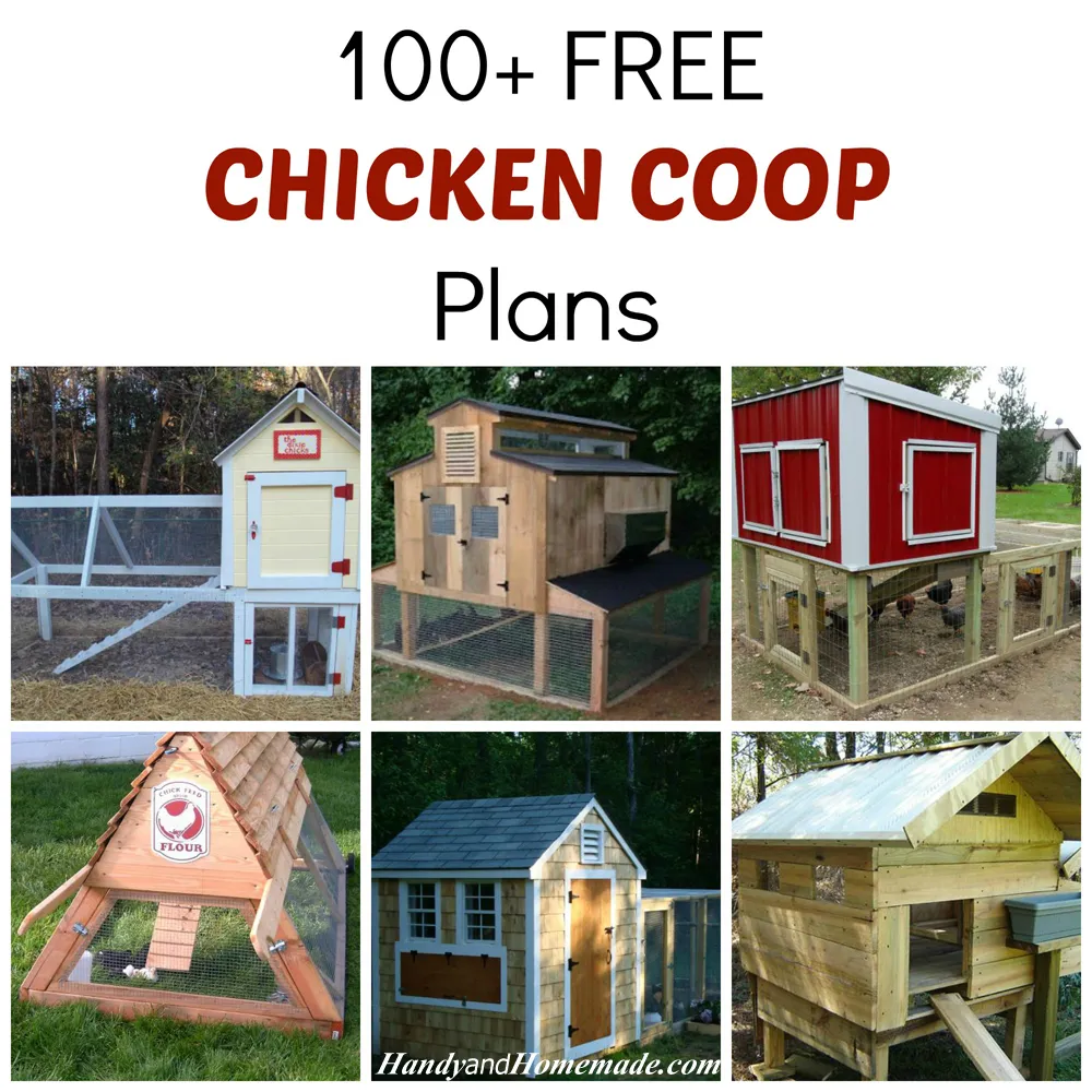 54189 chicken coop plans space