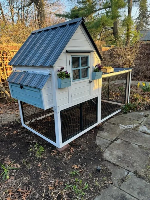 54194 chicken coop assembly