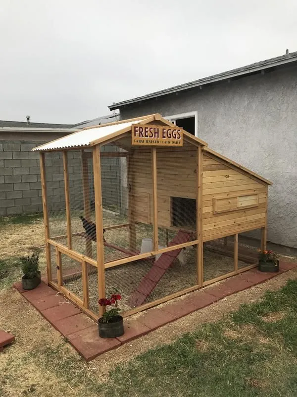 54197 predator proof chicken coop