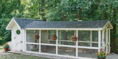 /img/54203-chicken-coop-predator-proofing.webp