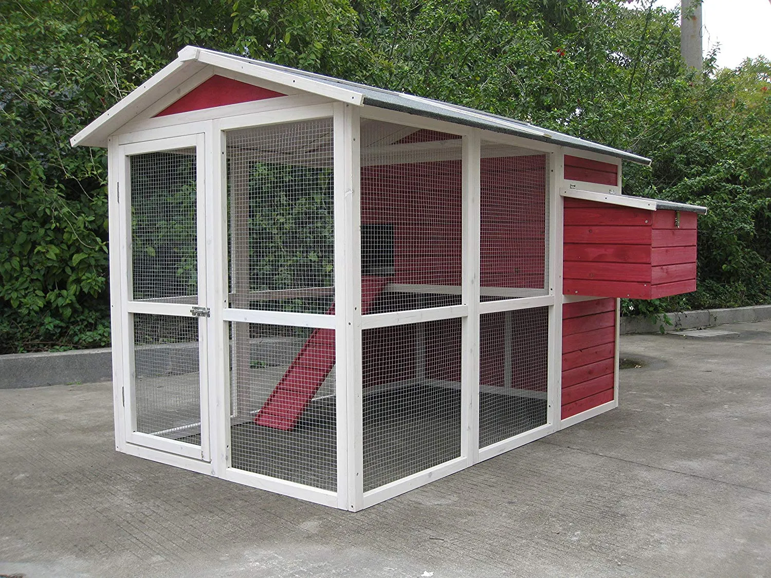 54203 chicken coop size