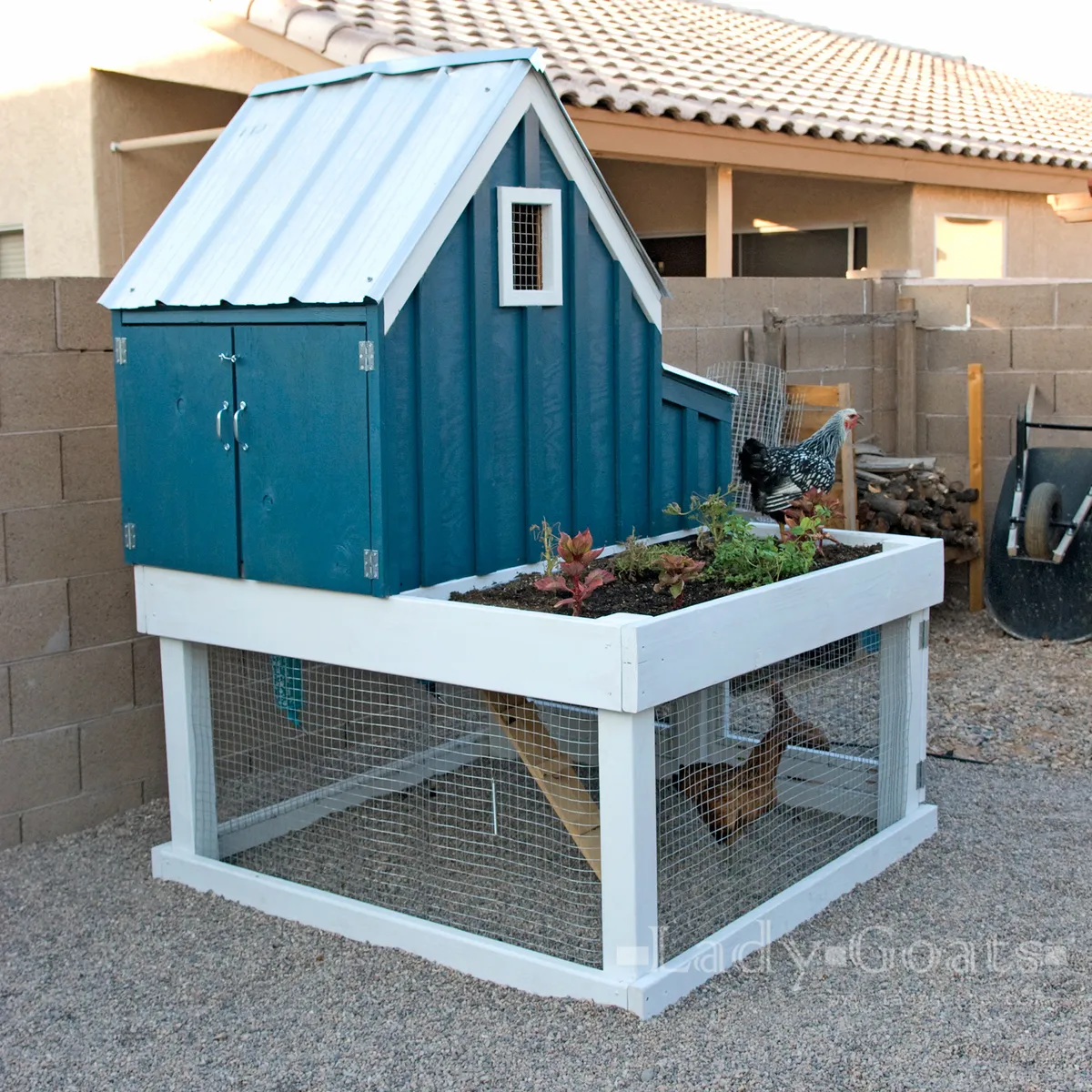 /img/54205-small-chicken-coop-cleaning.webp