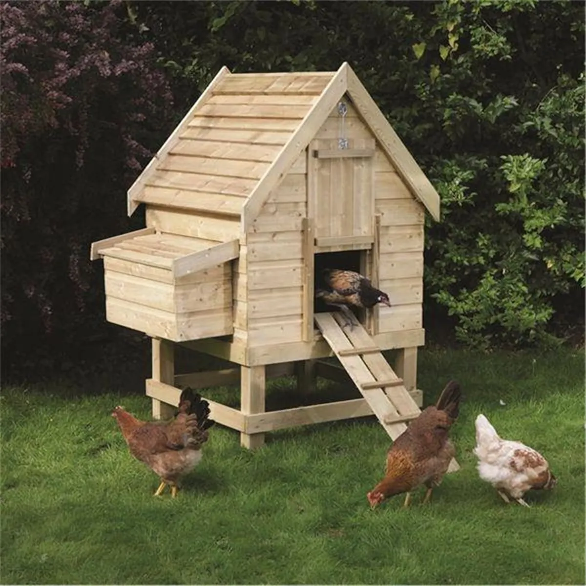 54205 small chicken coop predator protection