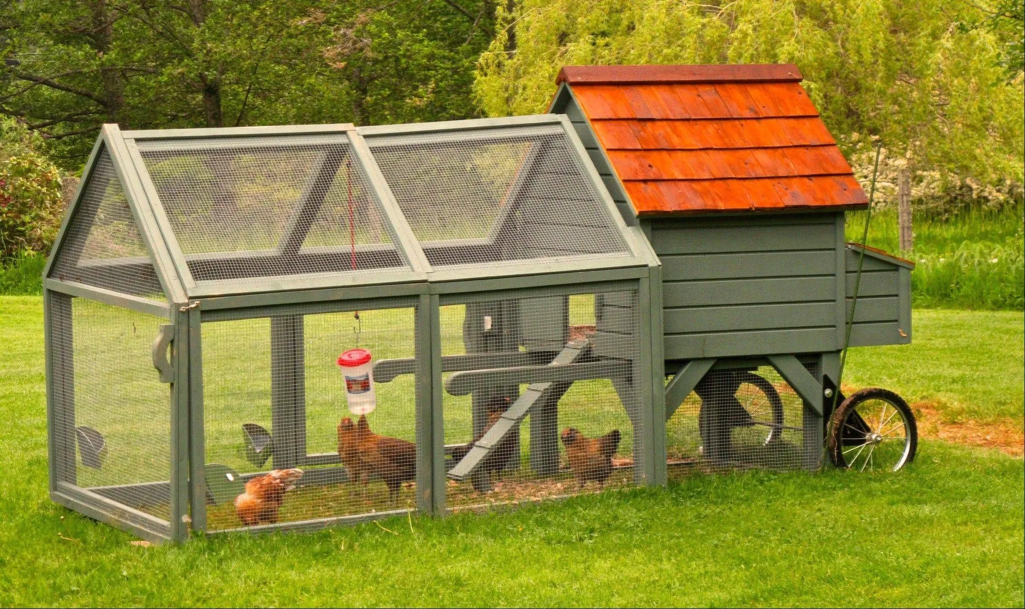 54206 chicken coop predator protection