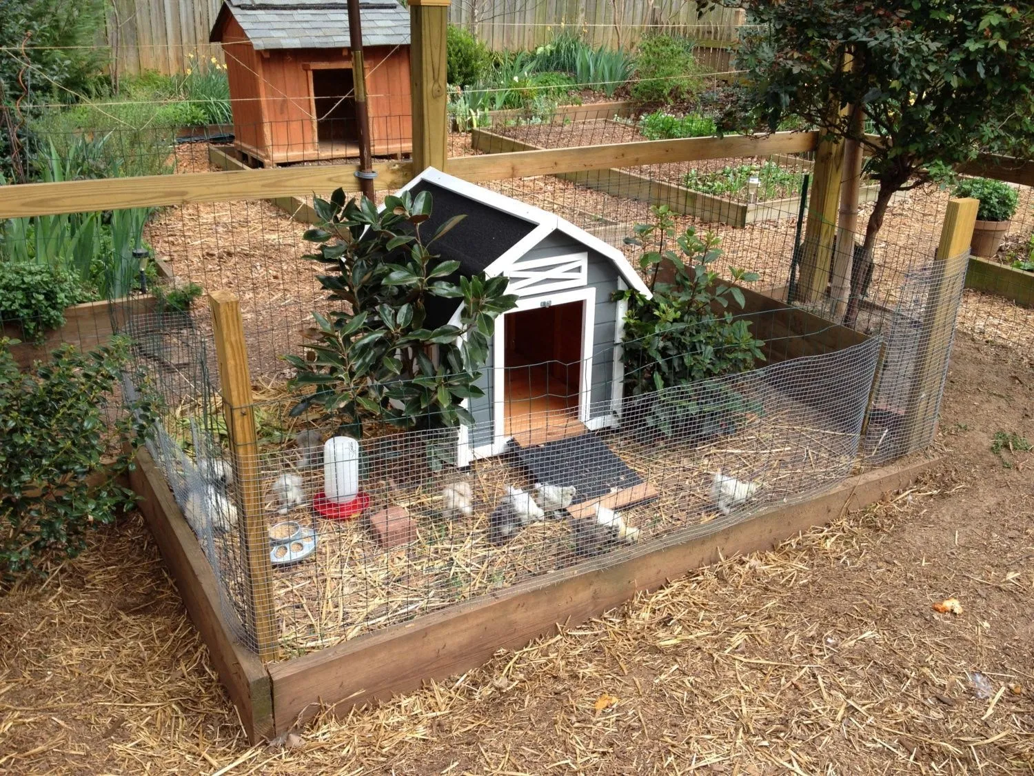 54206 chicken coop size comparison