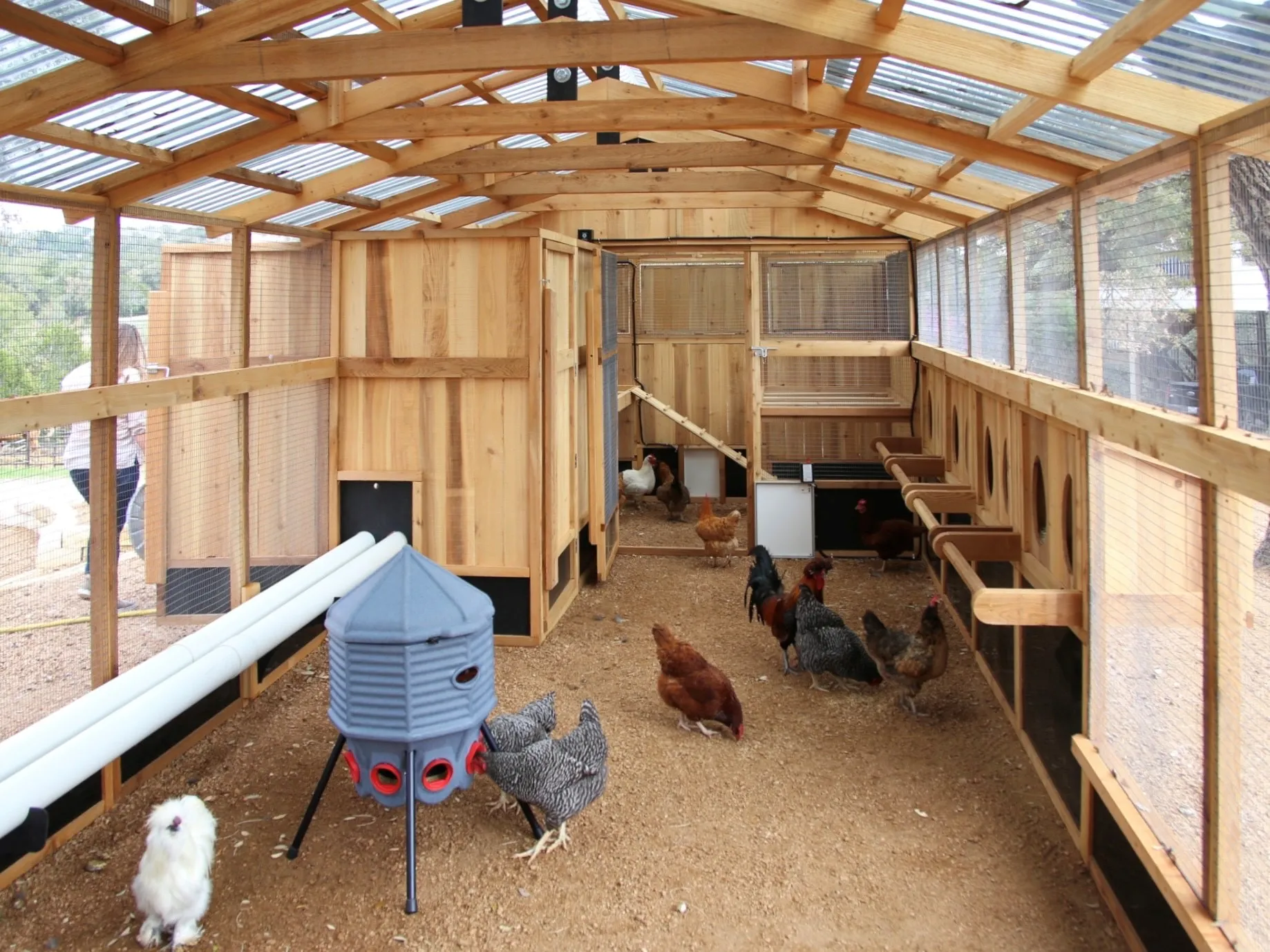 /img/54214-predator-proof-chicken-coop.webp