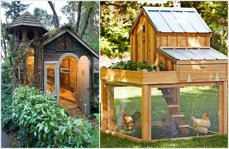 54214 rustic chicken coop
