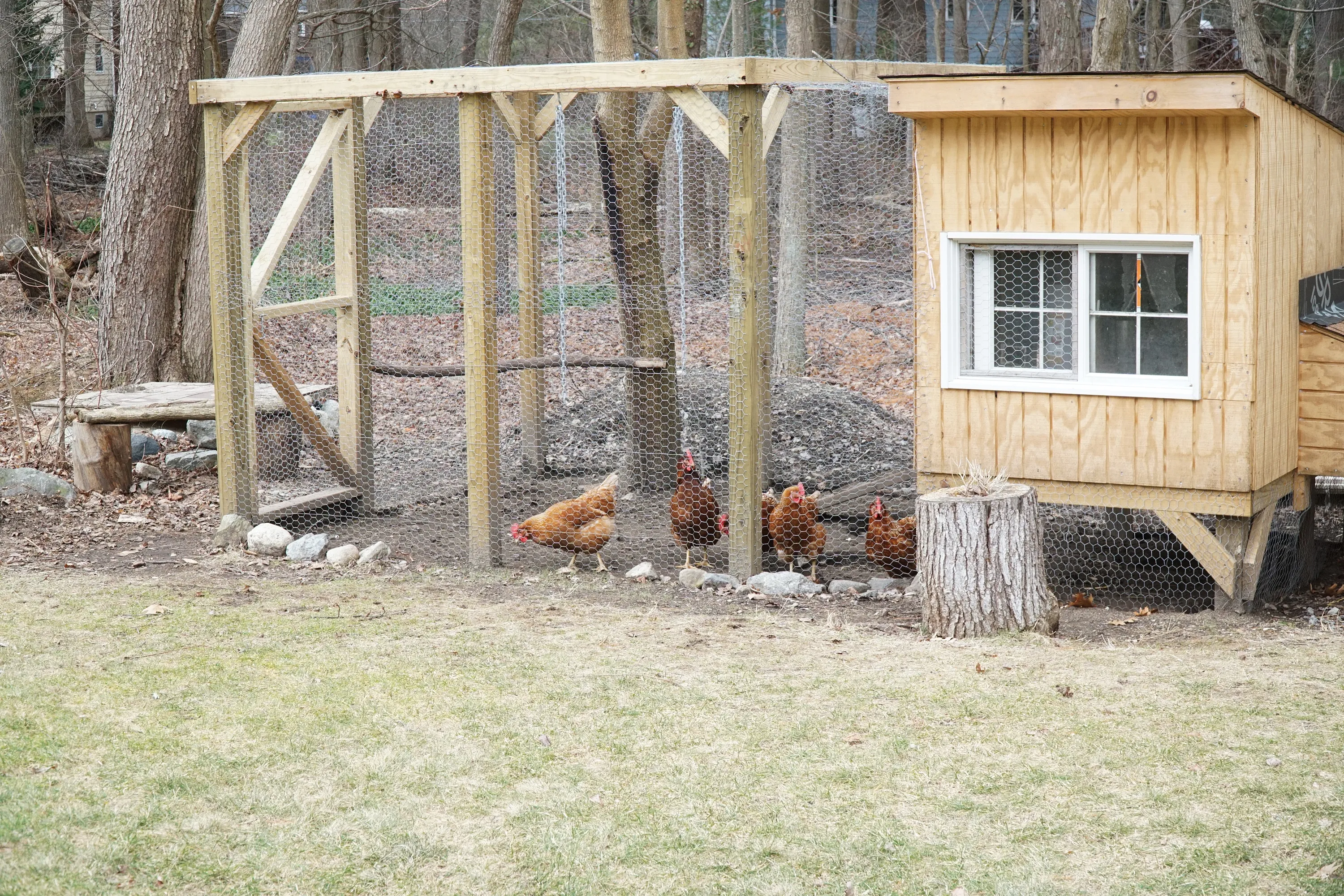 54214 tools for chicken coop