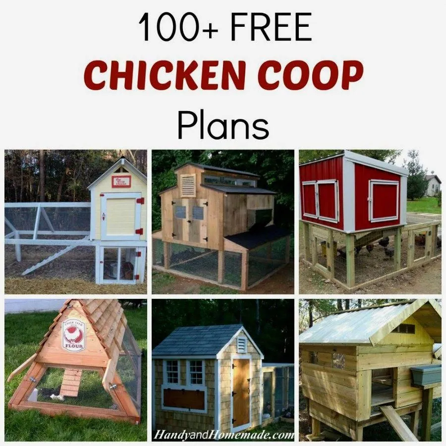 54221 a frame chicken coop