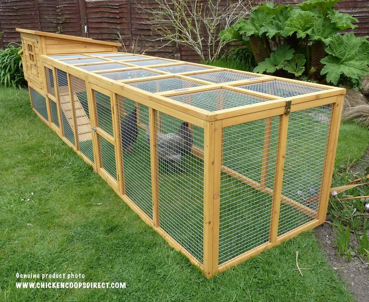 54223 chicken run predator protection