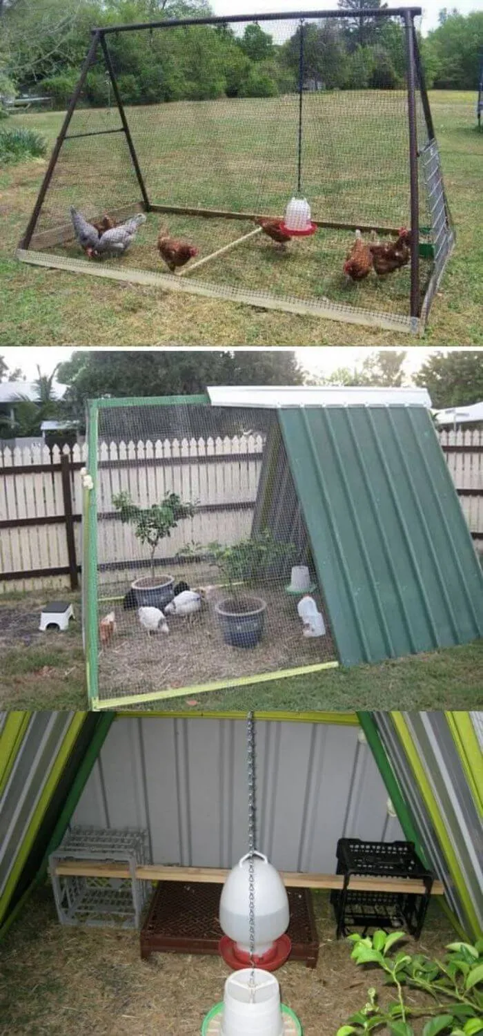 54226 chicken run design