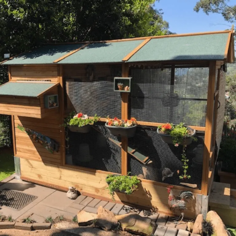 54227 predator proof coop