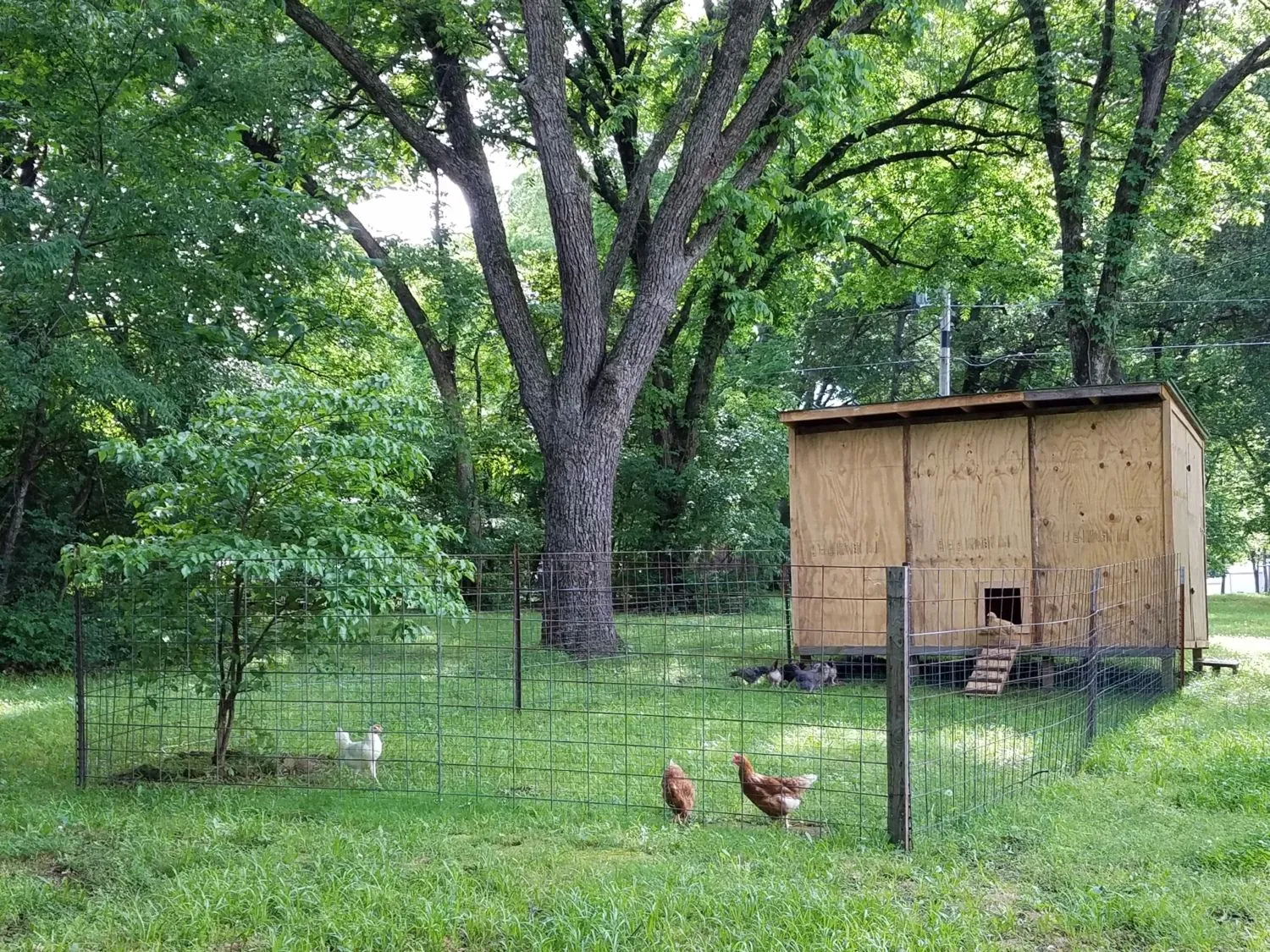 54228 chicken coop run predator protection