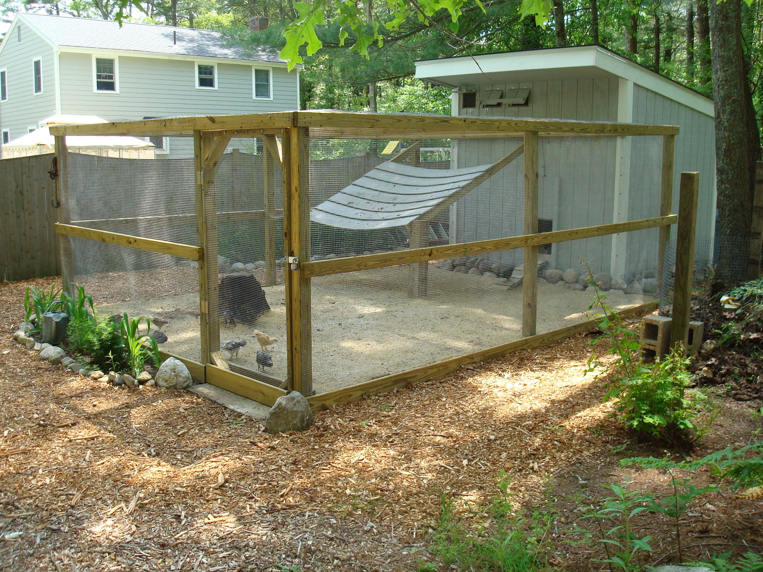 54231 chicken coop cleaning
