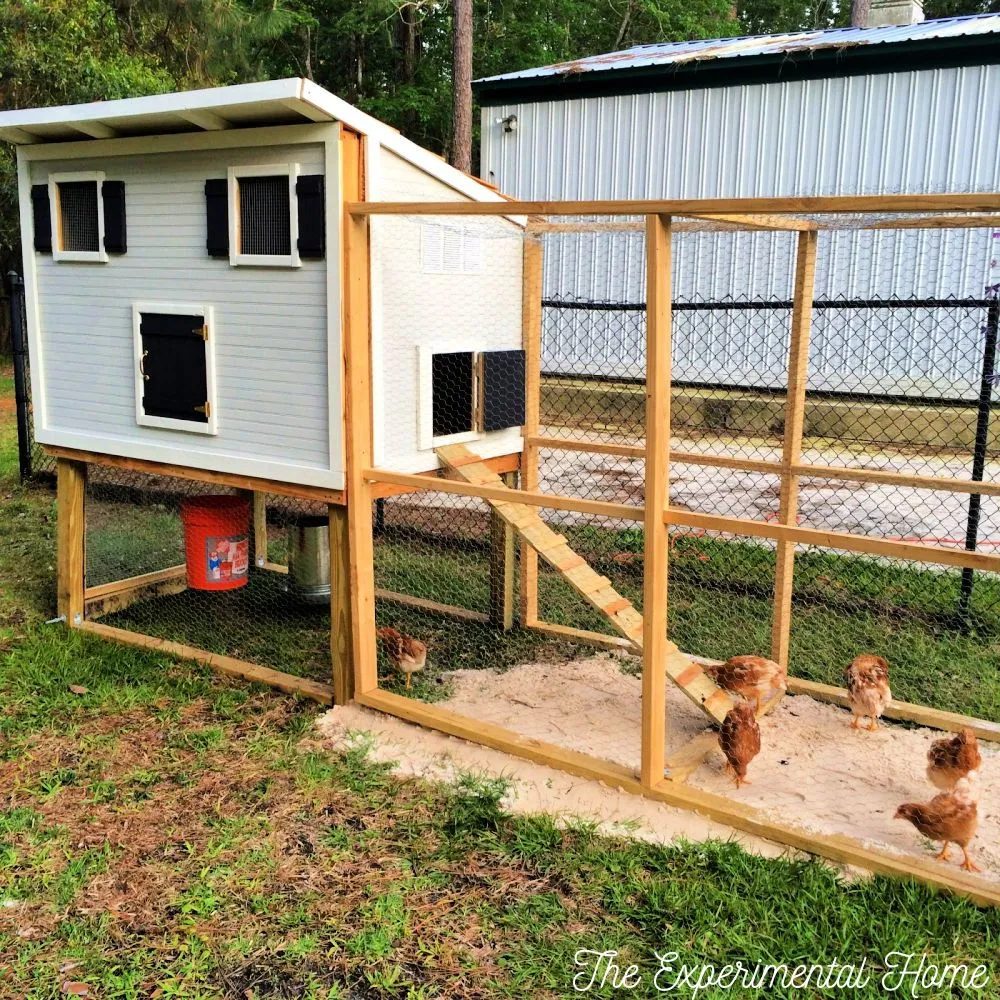 54231 chicken coop location