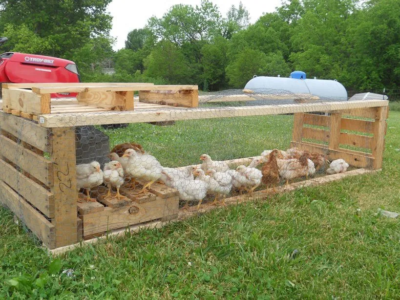 54236 coop frame building