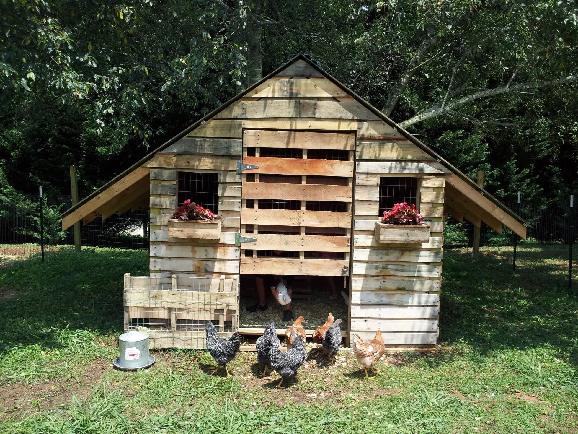 54237 chicken run design