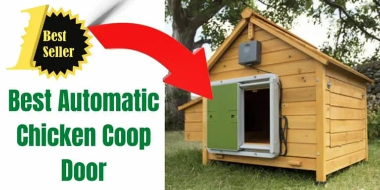 54240 automatic chicken coop door battery backup
