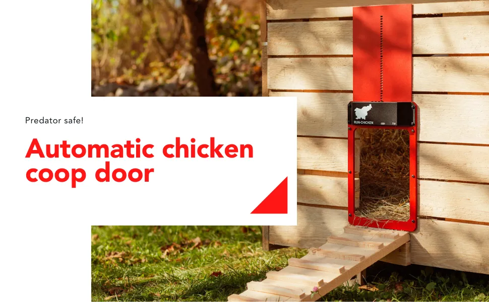/img/54240-automatic-chicken-coop-door-safety-features.webp
