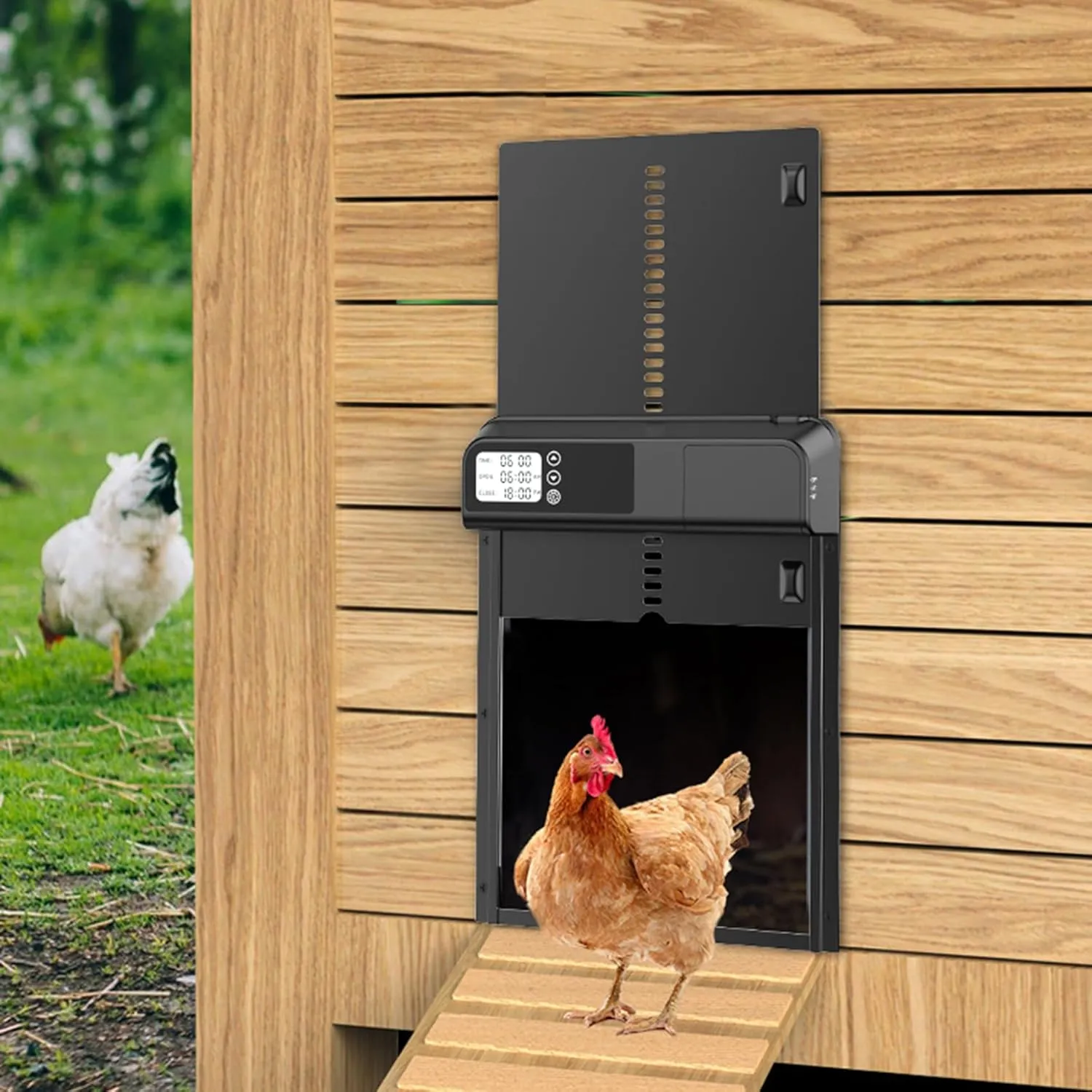 54242 battery powered chicken coop door