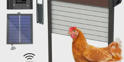 /img/54242-chicken-coop-door-predator-protection.webp