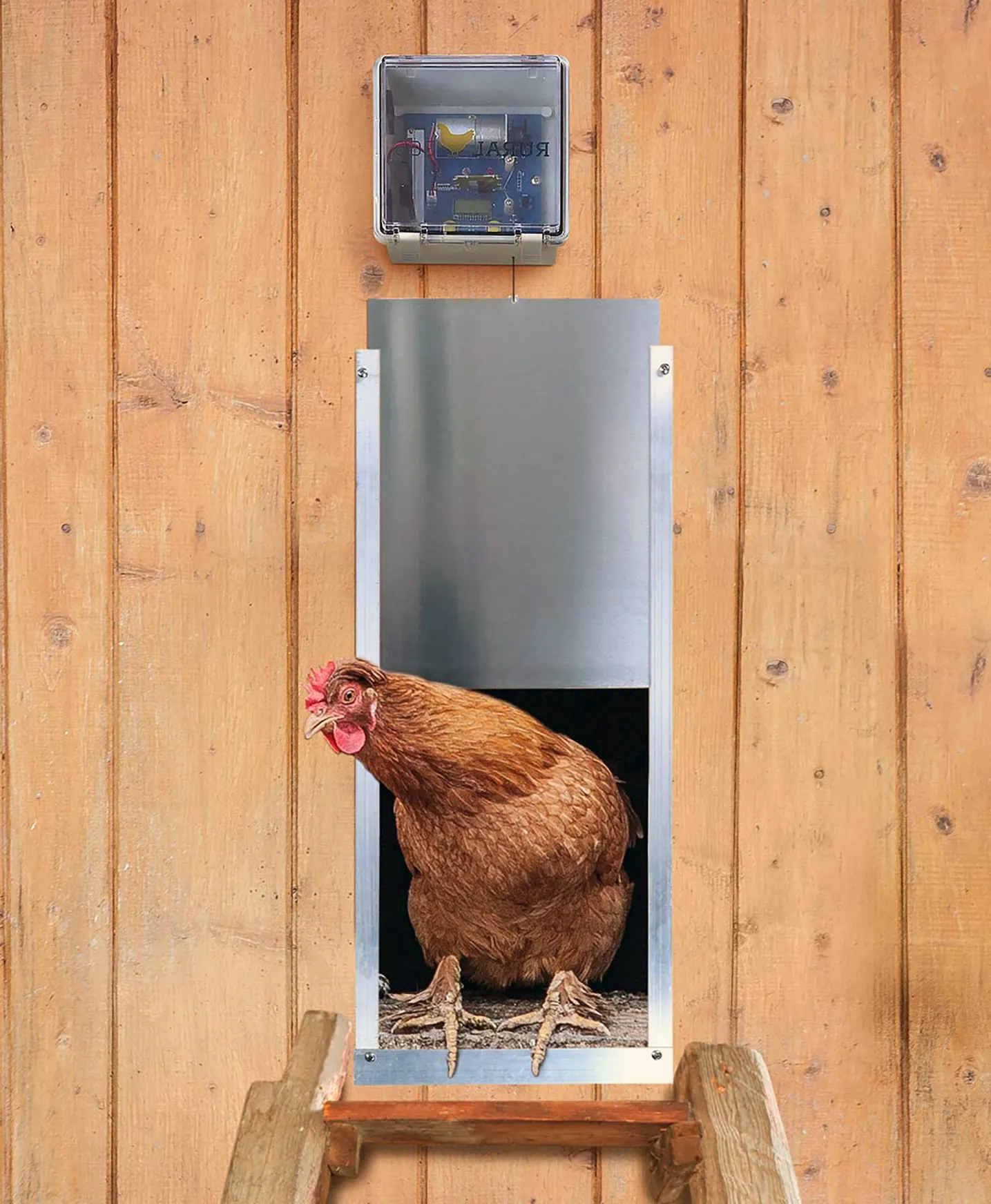 54244 chicken coop door overview