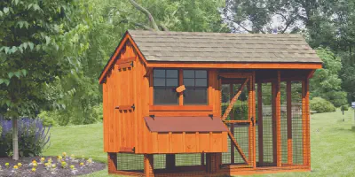 /img/54246-chicken-coop-materials.webp