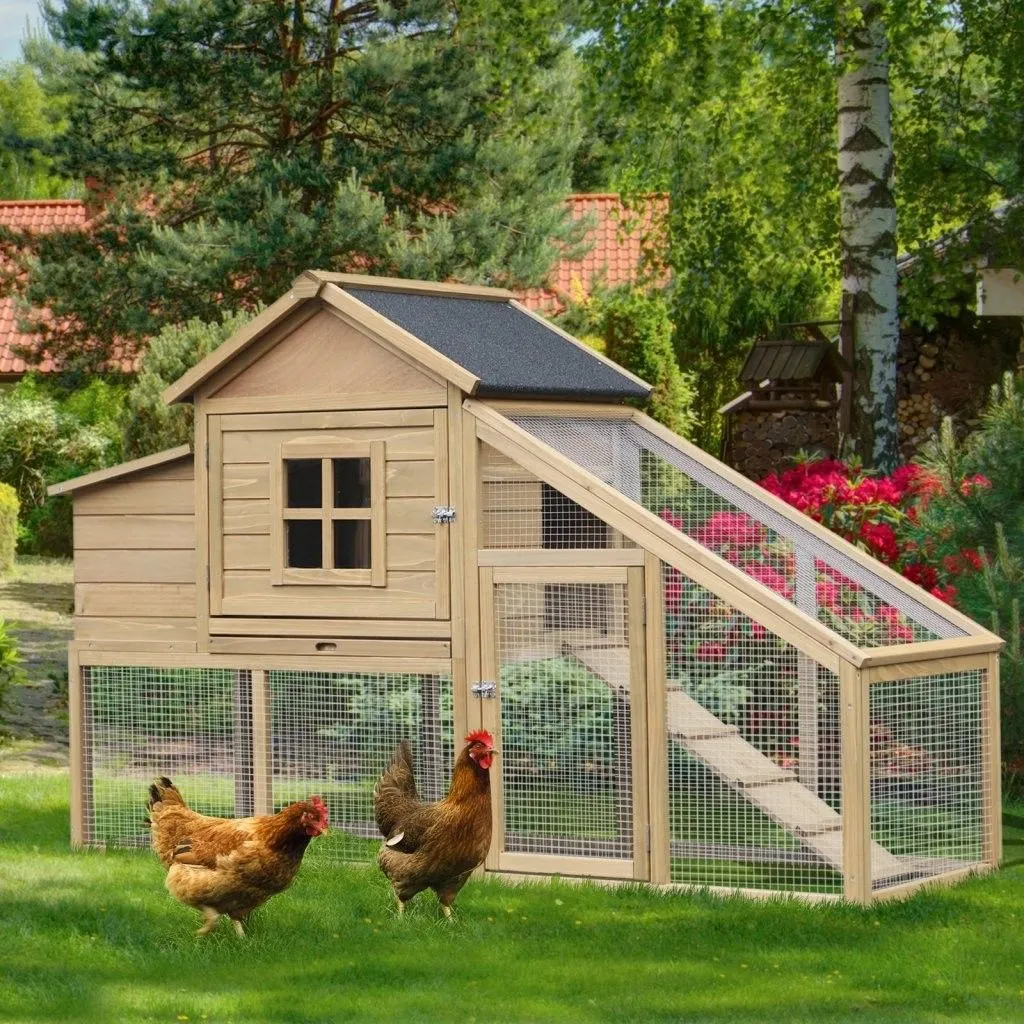 /img/54248-chicken-coop-landscaping.webp