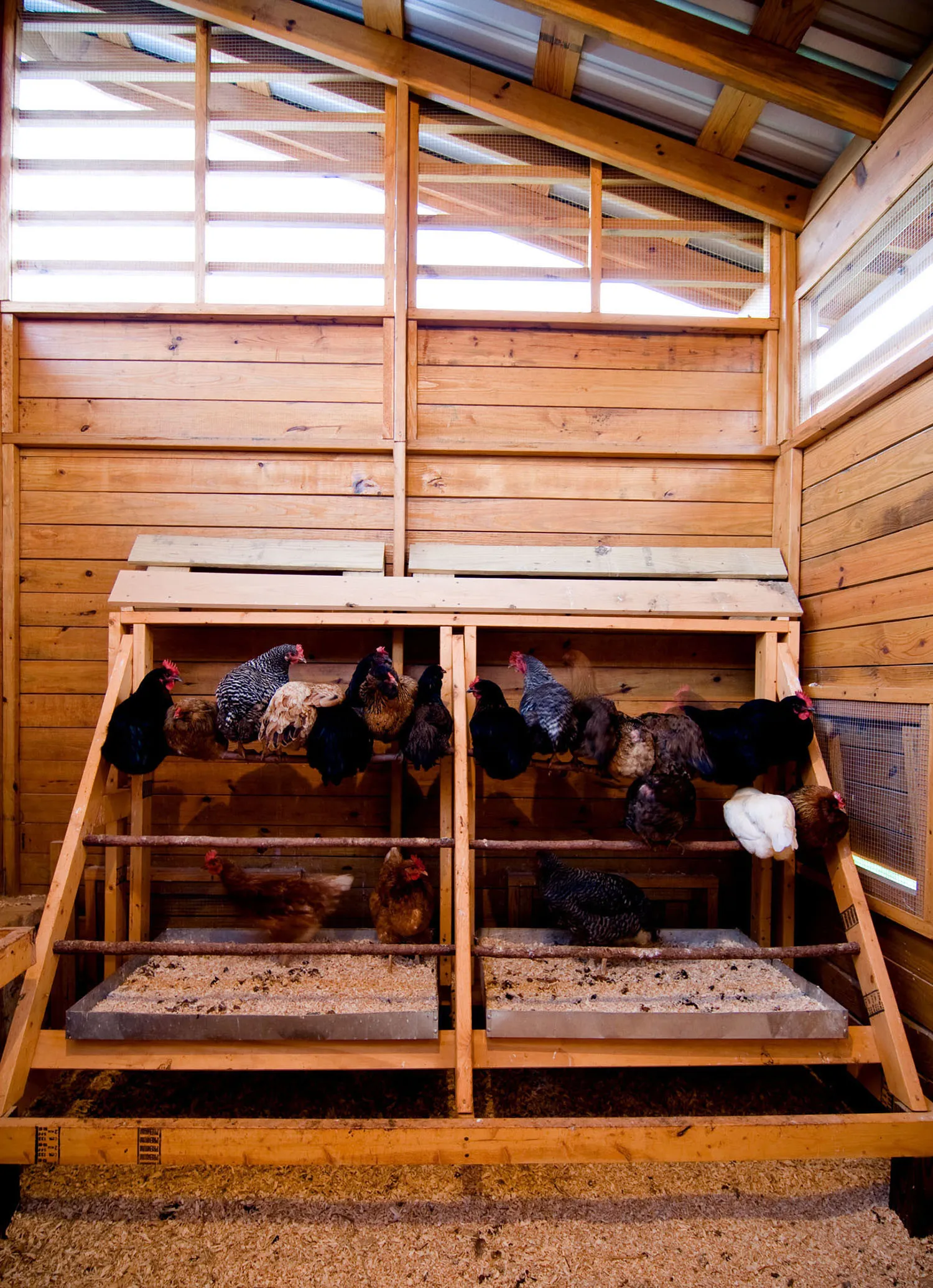 54252 chicken coop ventilation