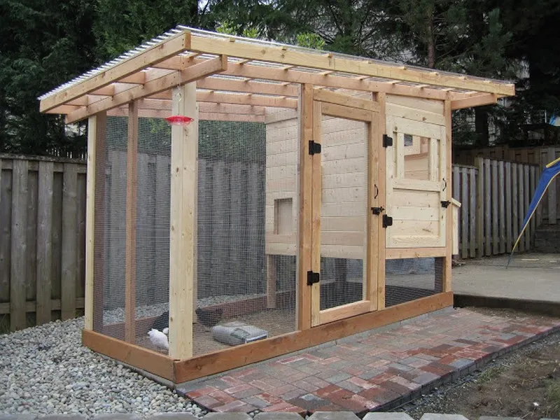 54253 a frame chicken coop