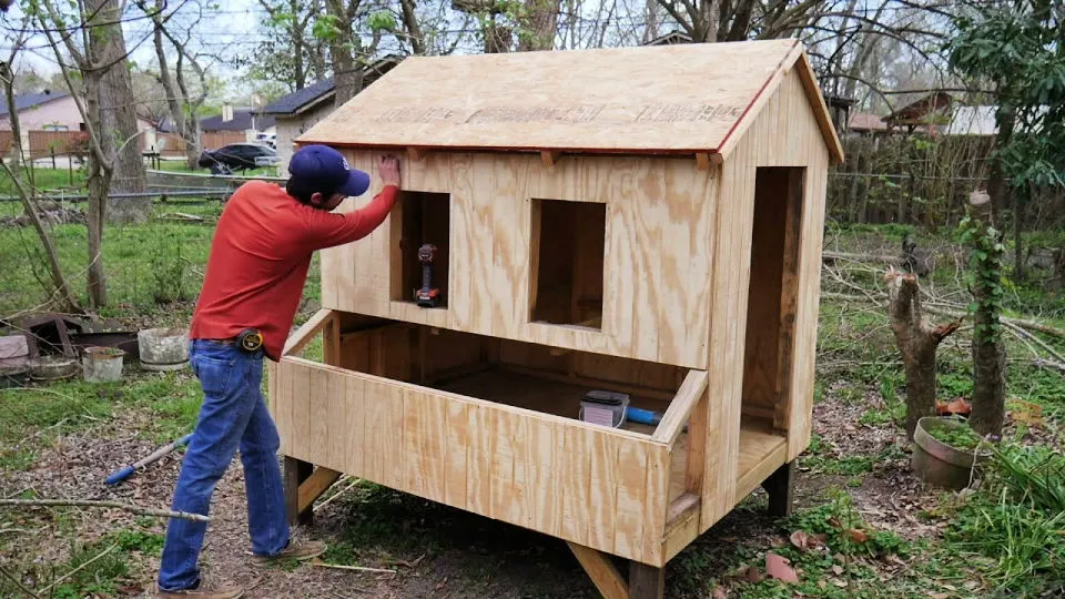 54253 backyard chicken coop