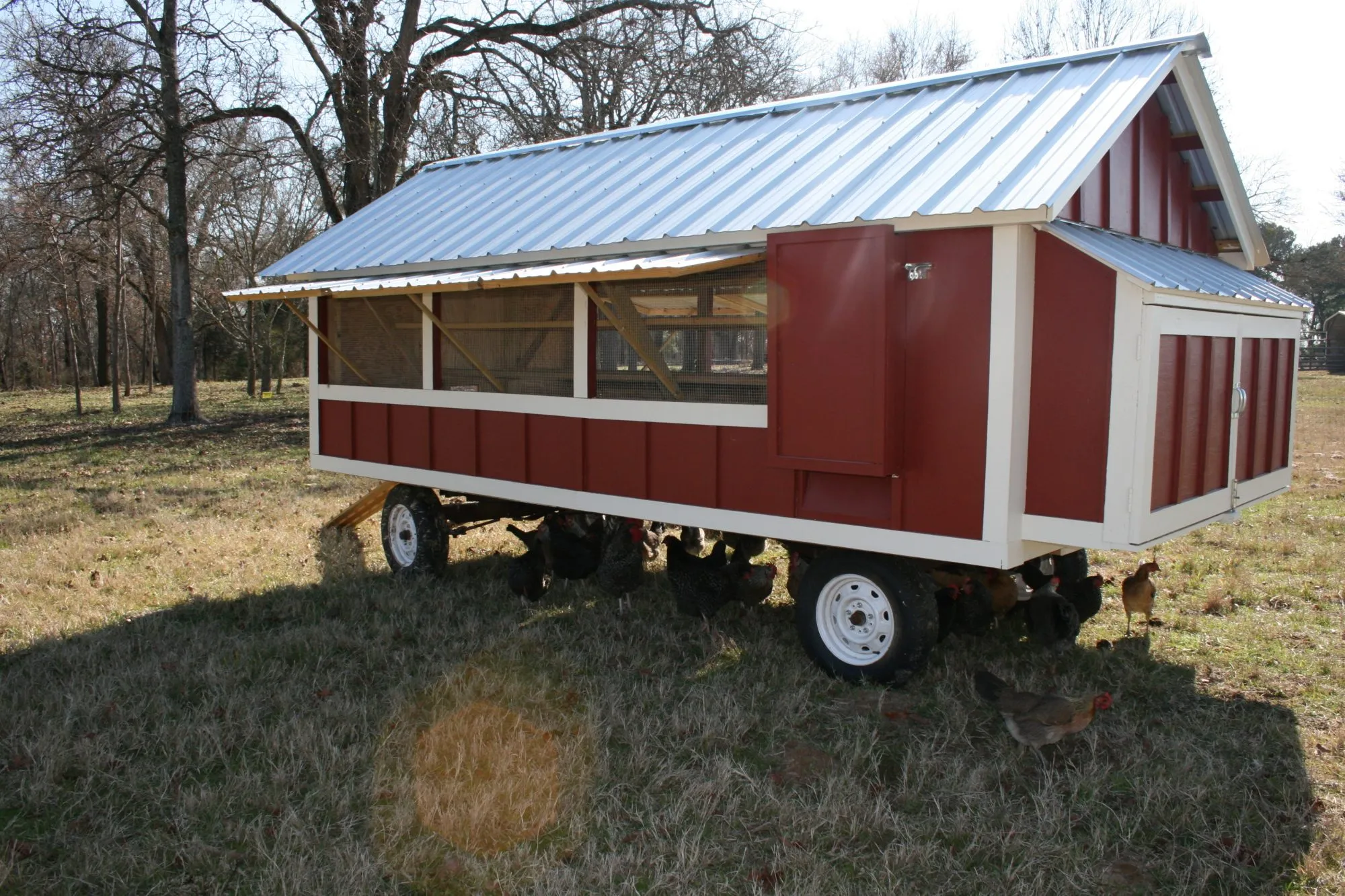 54256 chicken coop size guide