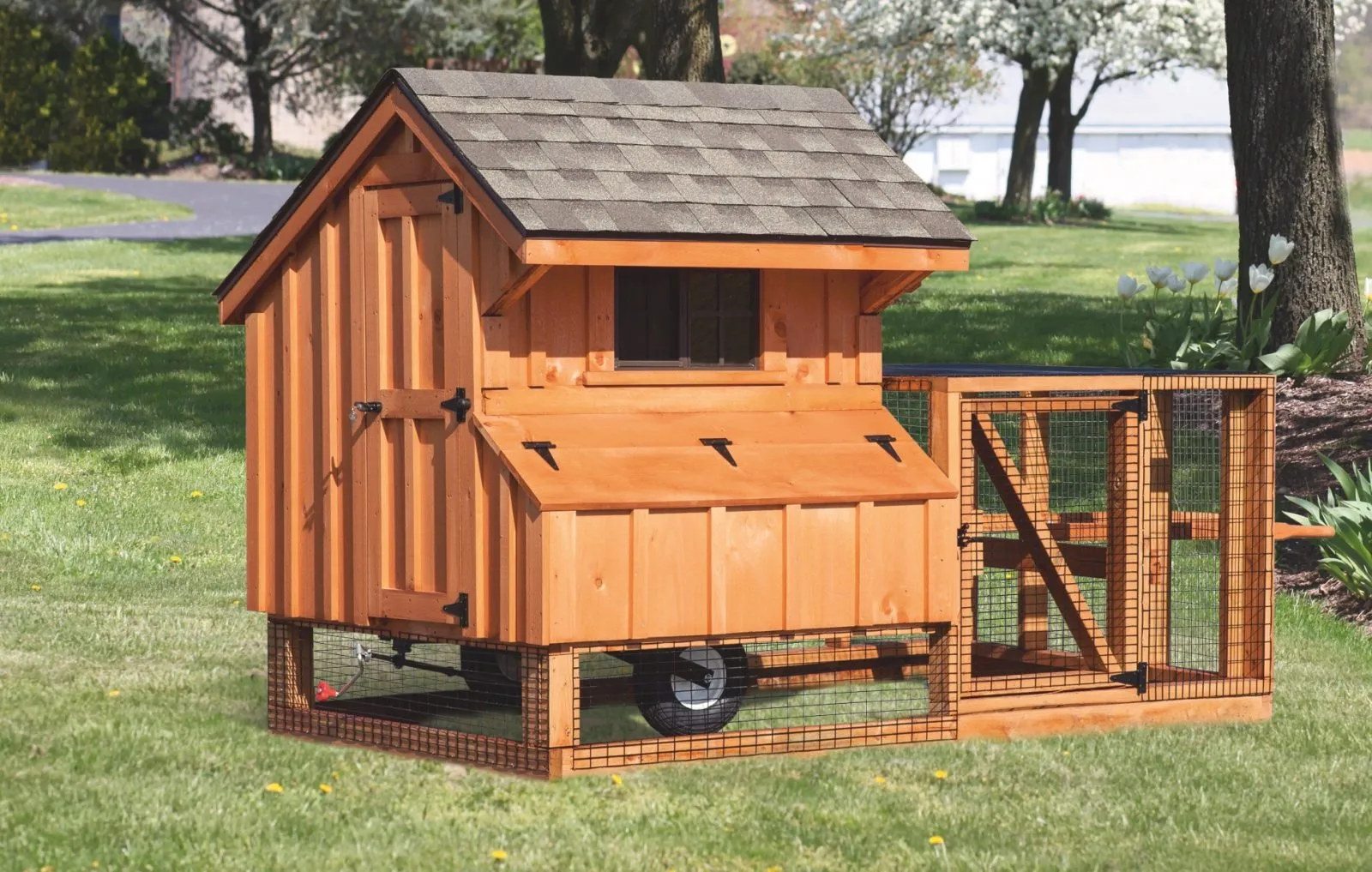54256 mobile chicken coop grazing