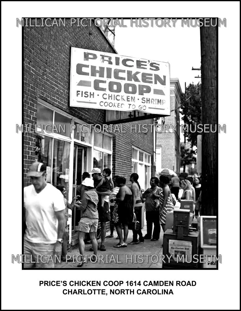 54257 diy chicken coop