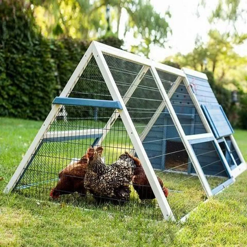 54262 metal frame chicken coop