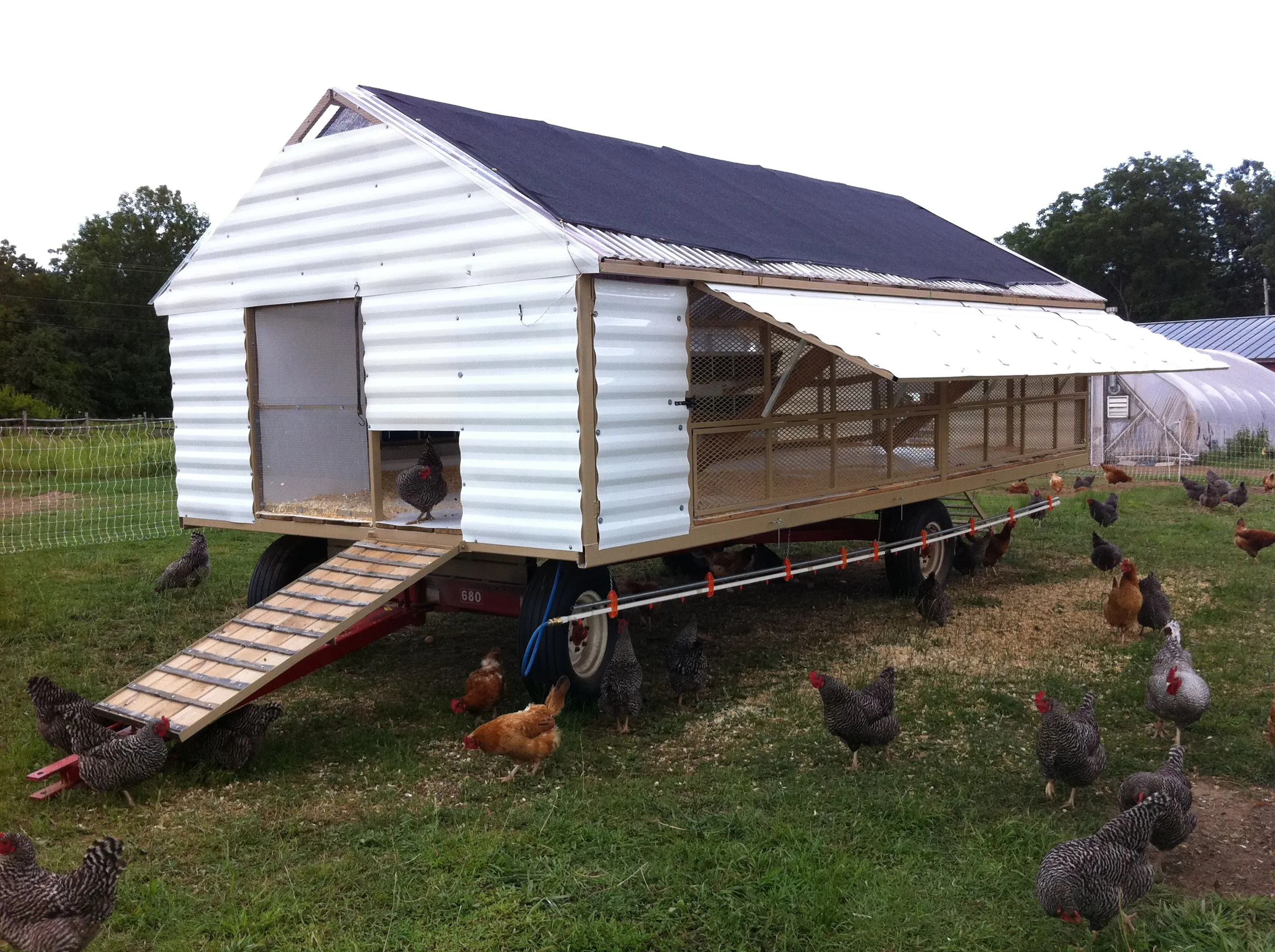 54263 mobile chicken coop structure