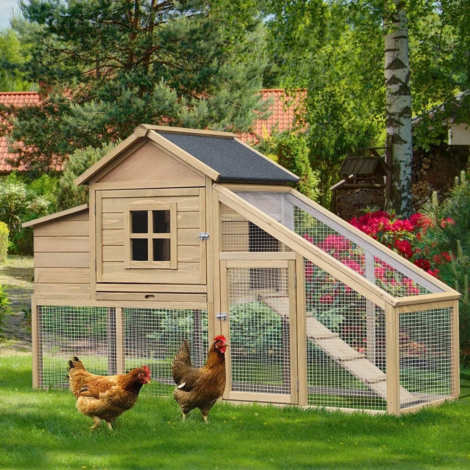 /img/54264-chicken-coop-location.webp