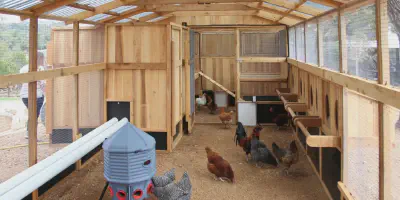 /img/54266-eco-friendly-chicken-coop.webp
