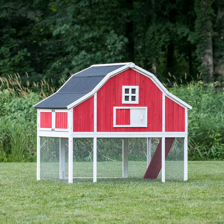 54268 cheap chicken coop accessories