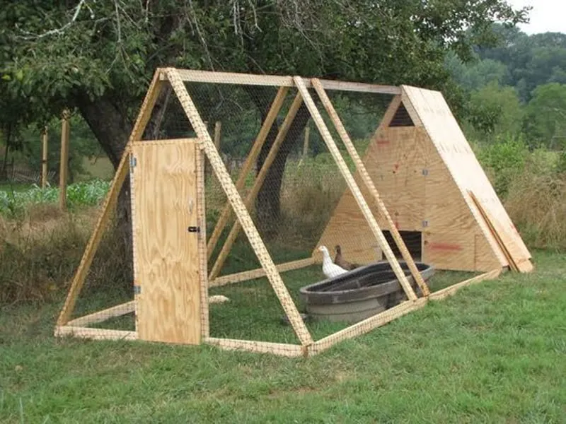 54270 predator proof chicken coop