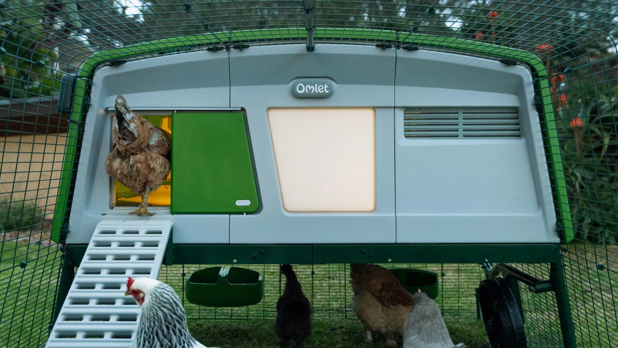 54271 testing automatic chicken coop door