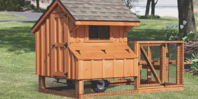 /img/54272-moving-portable-chicken-coop.webp