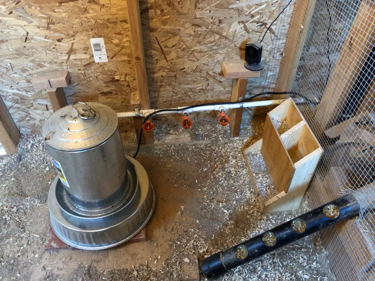 54283 chicken coop heat image5