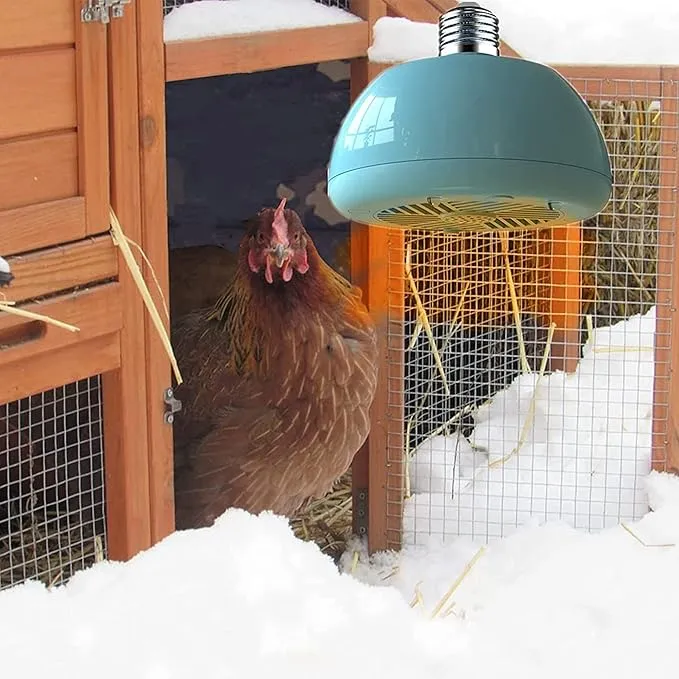 54283 chicken coop heat image7