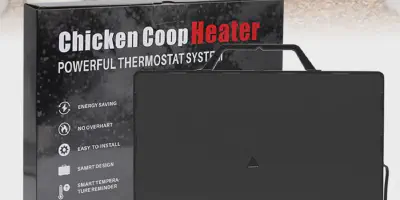 /img/54285-chicken-coop-ventilation.webp