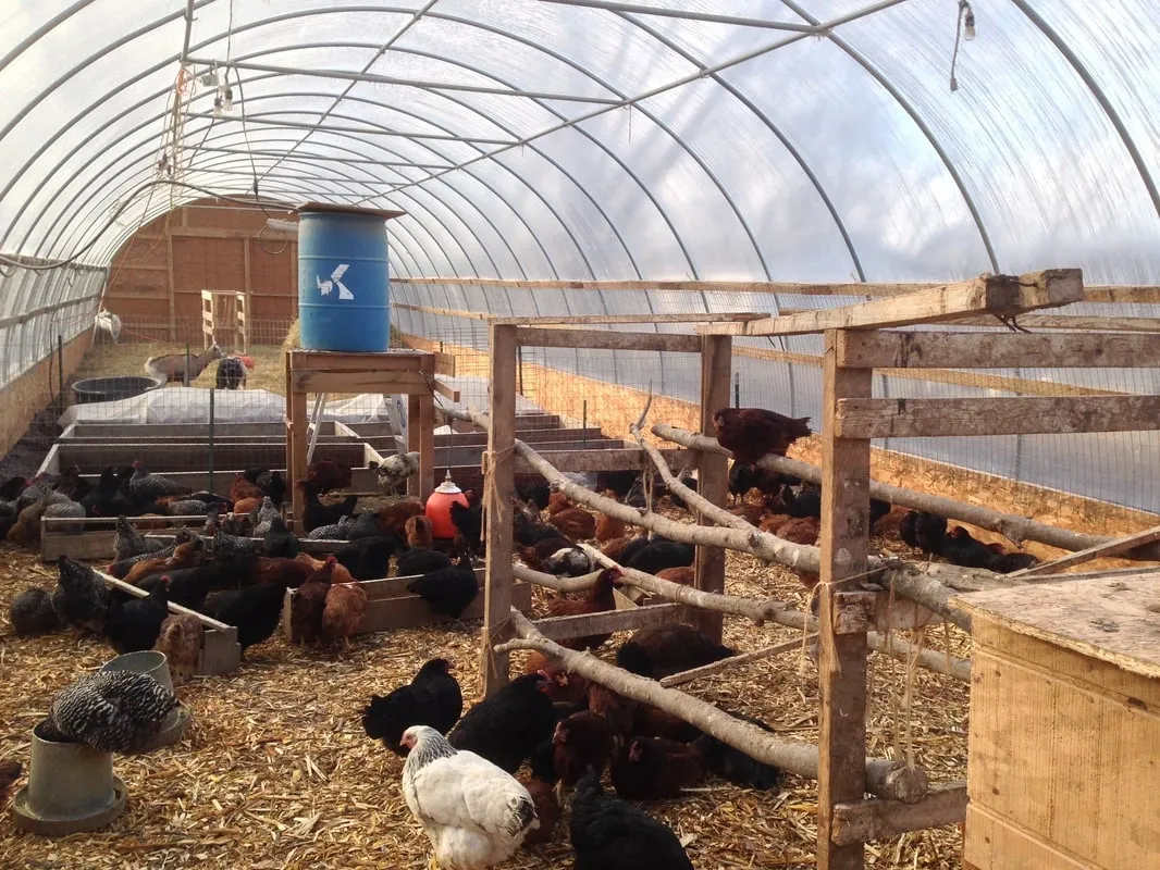 54287 insulated chicken coop