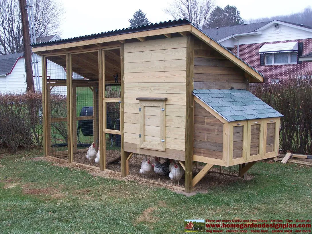 54288 chicken coop design