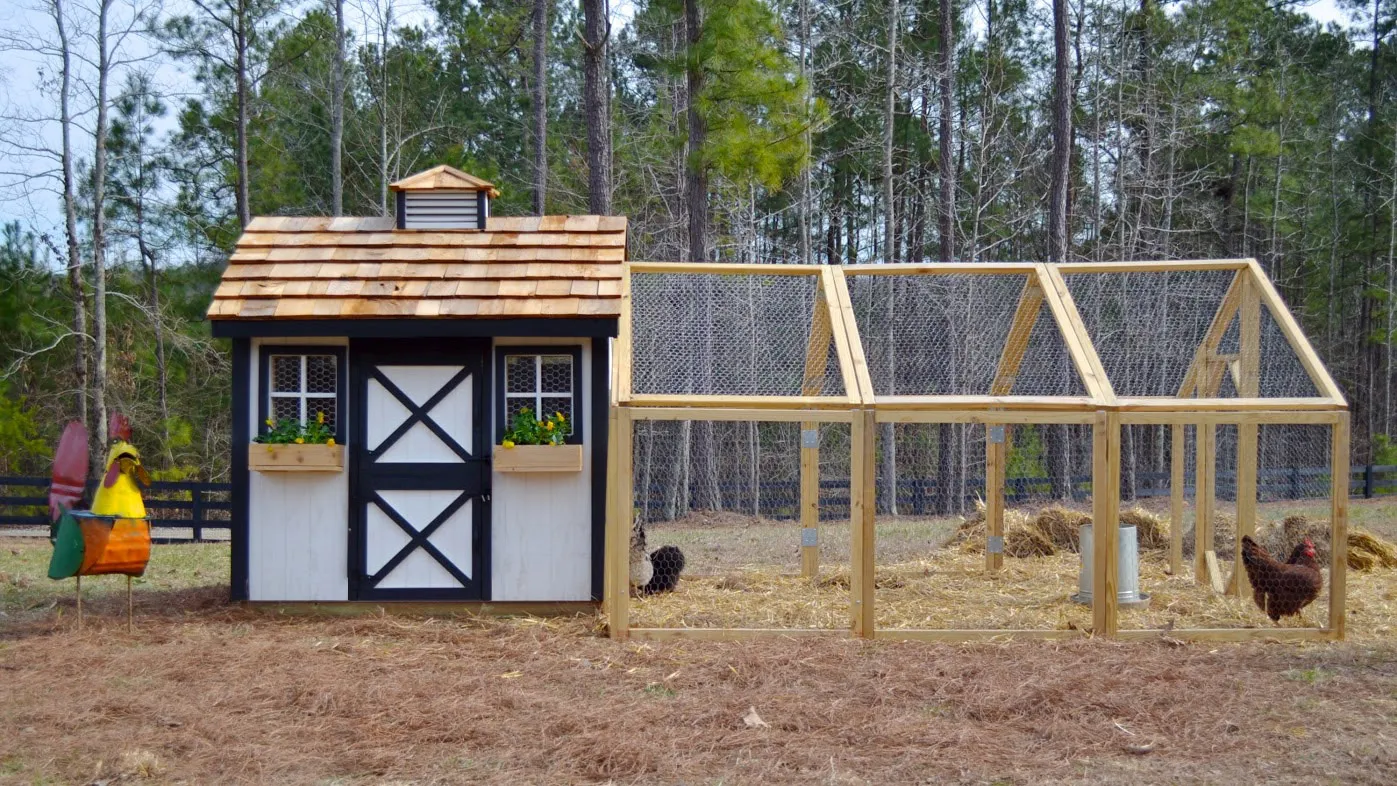 54291 chicken coop frame