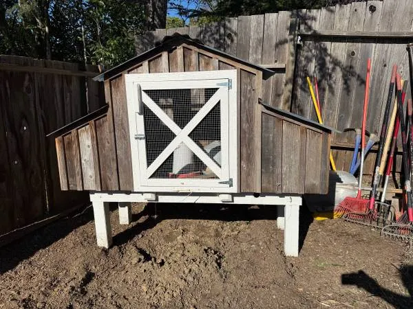 54296 chicken coop size capacity