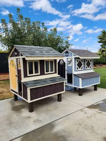 54301 happy backyard chickens